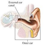 Ear Canal
